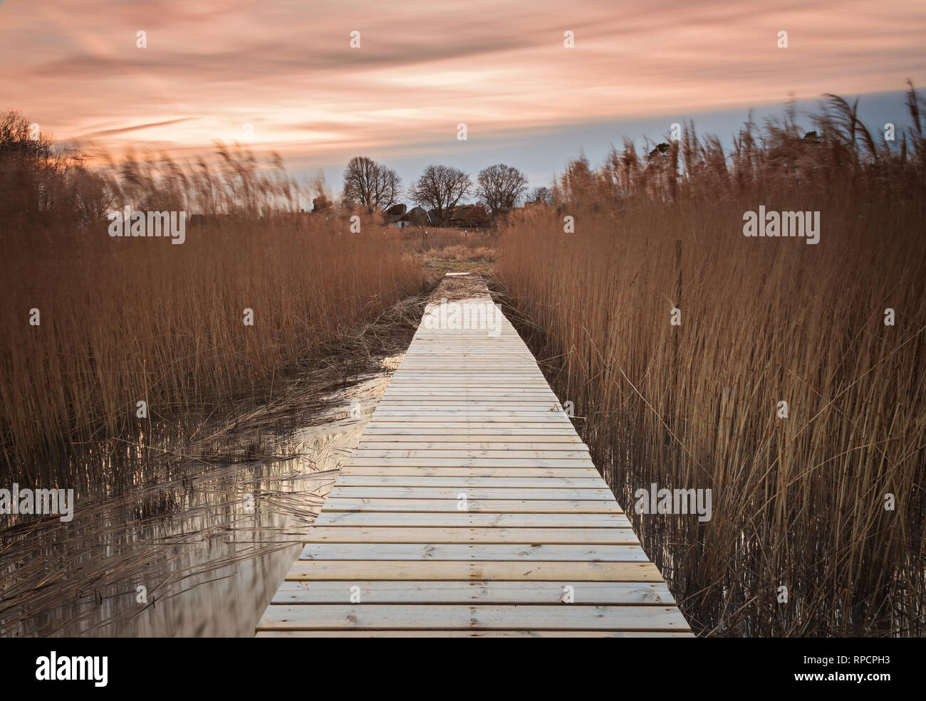 Holzsteg über grasbewachsene Riffe. Utvalinge, Schweden. Stockfoto