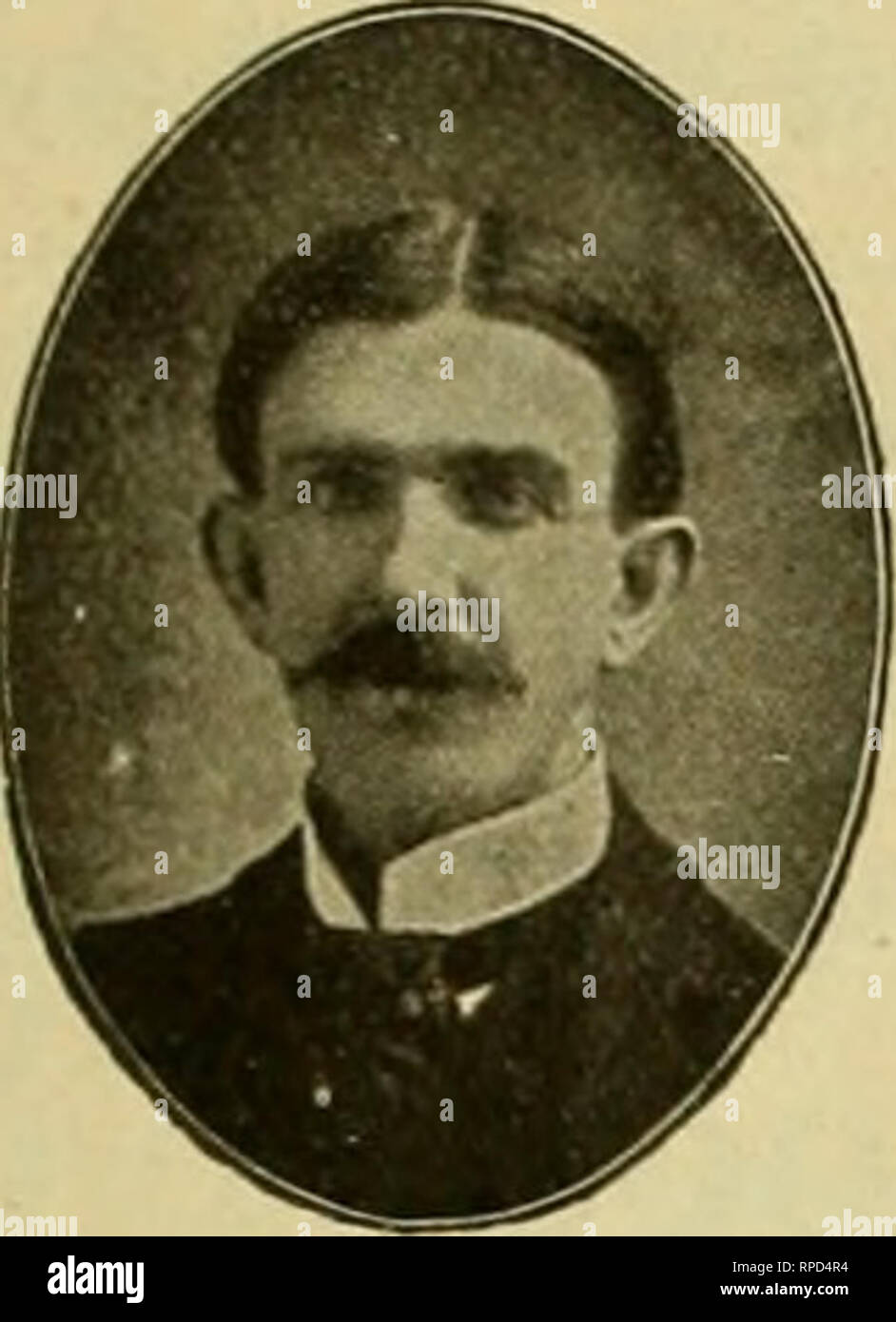 . American bee Journal. Biene Kultur; Bienen. April 21, 1904. Die AMERICAN BEE JOURNAL. 303 gebunden, starte ich dowa die Leiter, mit einer Sache in meinen Händen zu einer Zeit, für die ich kann der Hirte hoolf überall innerhalb der Reichweite hängen, und wenn die Bienen zu Cluster oben wollen, ich {- geben Sie ihnen eine andere Ruck, ruhend am unteren Ende der Korb uii die Leiter, während ich auf Sie warten. Ich habe einen Schleier, Handschuhe, und falsche Ärmel auf, so dass Sie, wenn Sie auf Mir zu steigen wollen, was sie auch tun kann. Die Leiter und Pole sind beide gerade, so dass Sie care-ful Nutzung stehen und sicher sein. Eine Person kann mann - Alter das outtit Wenn nee Stockfoto