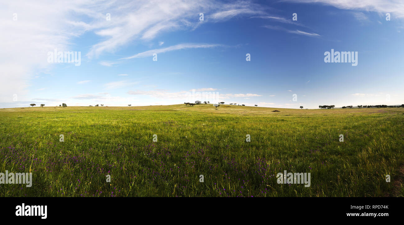 Panoramablick über die Landschaft in Alentejo, Portugal Stockfoto