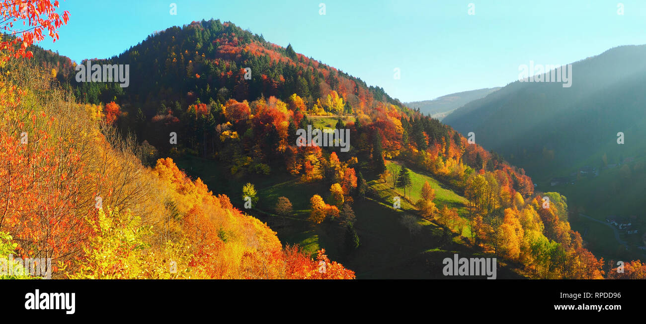 Schwarzwald im Herbst - Panorama Stockfoto