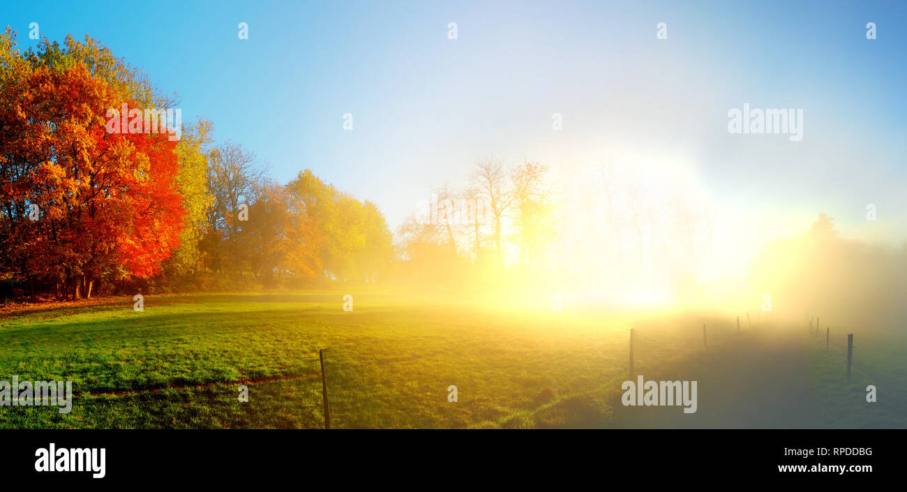 Schwarzwald im Herbst - Morgensonne Panorama Stockfoto