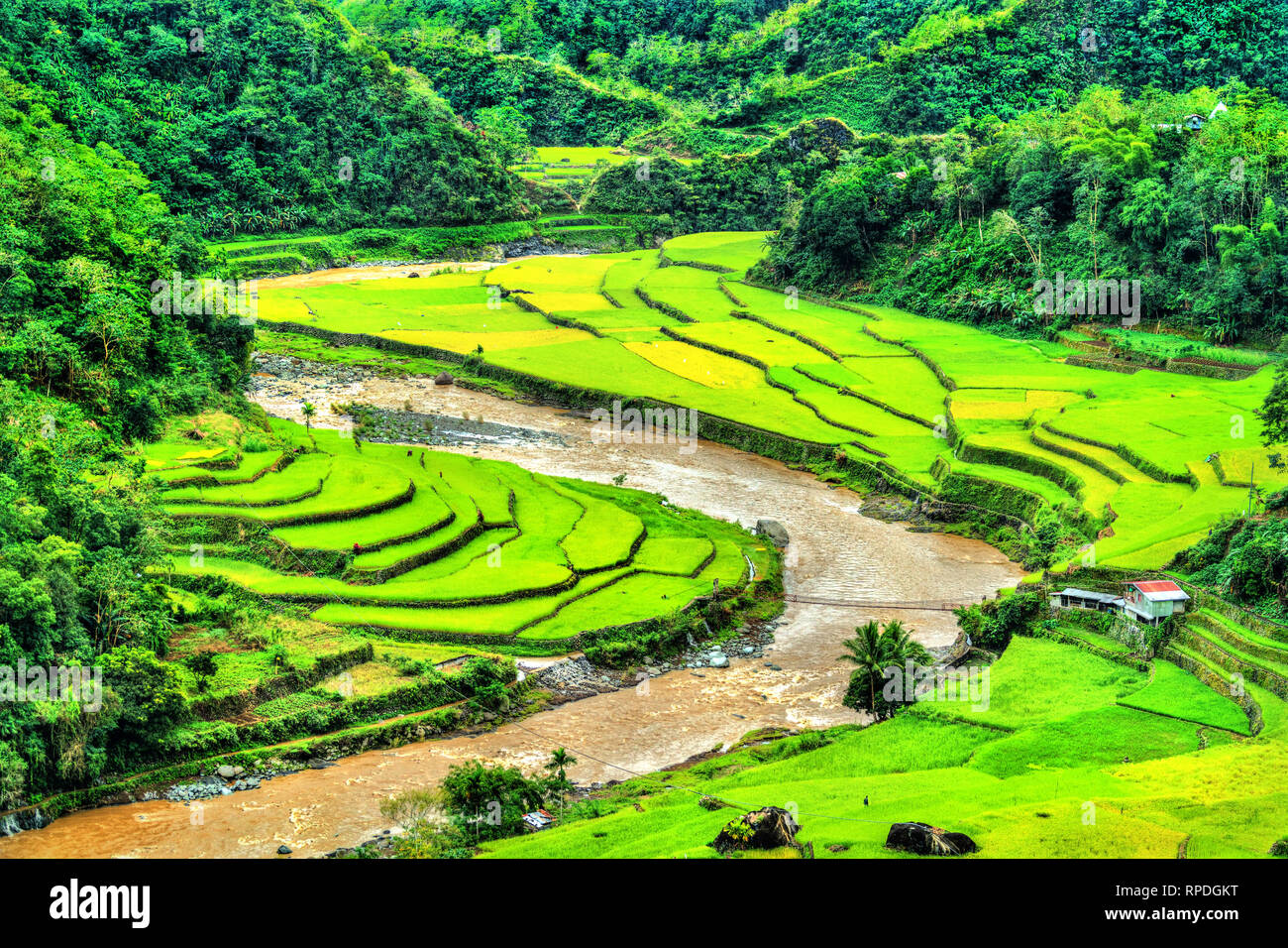 Kategorisiert Mayoyao Reis-Terrassen, UNESCO-Welterbe in Ifugao, Philippinen Stockfoto