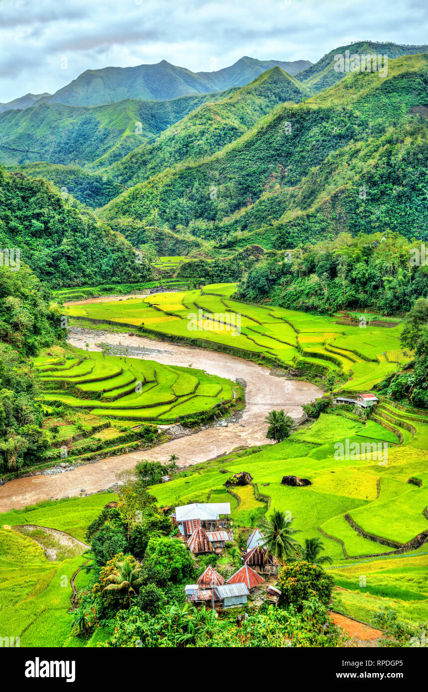 Kategorisiert Mayoyao Reis-Terrassen, UNESCO-Welterbe in Ifugao, Philippinen Stockfoto