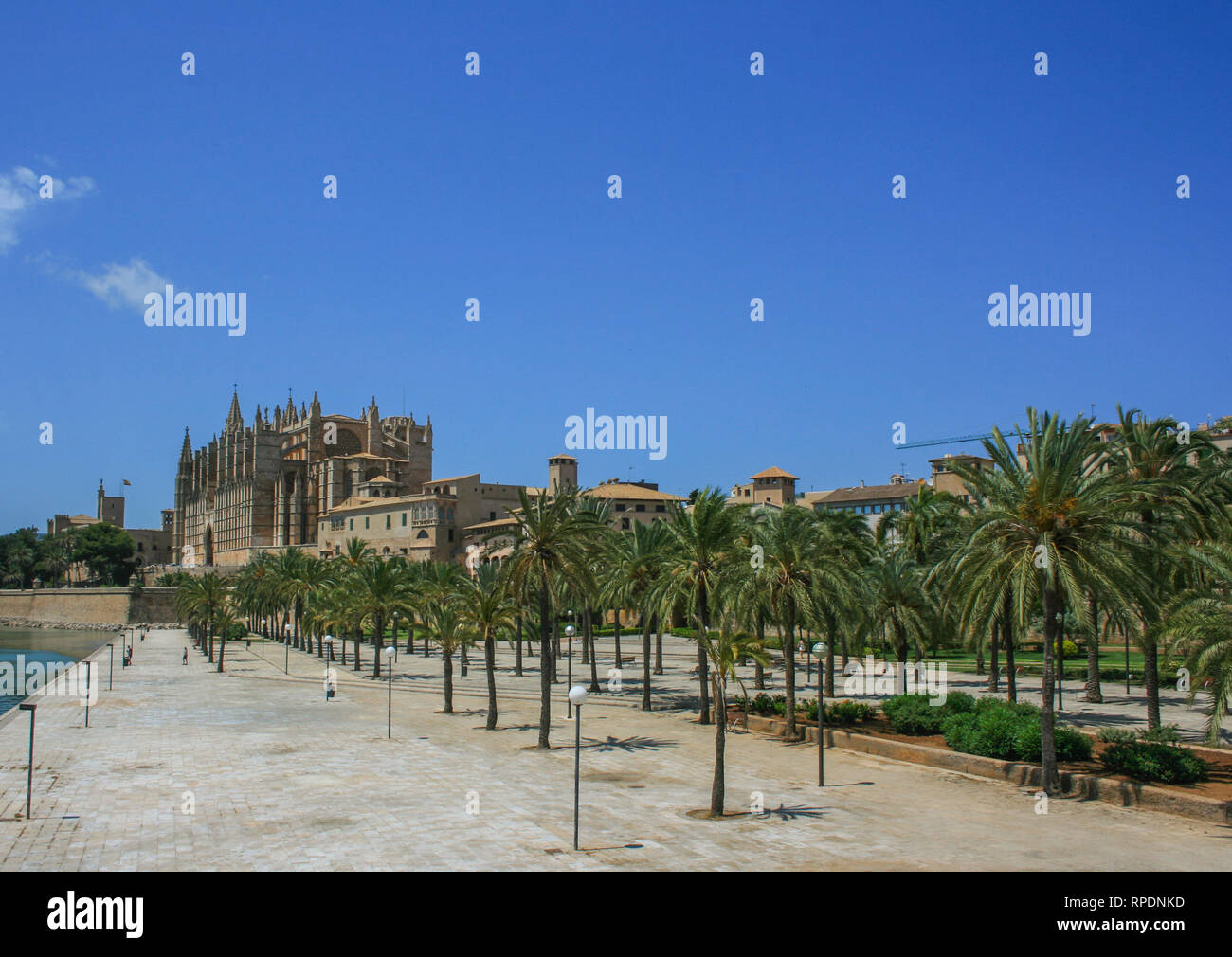 Die Kathedrale von Palma (Kathedrale St. Maria von Palma) ist ein Meilenstein in Palma de Mallorca (Mallorca), einer der Balearen Spanien Stockfoto