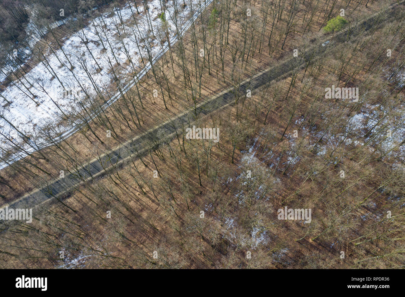 Blick von oben auf die Straße in den Wald. Winter Stockfoto