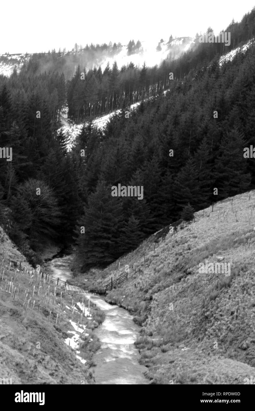 Fluss Ashop fließt in die Schlange Plantagen, Lady Clough Moor, Derbyshire, UK. Stockfoto