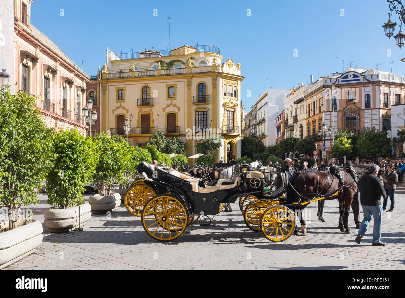 Pferdekutschen gezeichnet außerhalb der Kathedrale von Sevilla warten Touristen zu geben Touren durch Sevilla Stockfoto