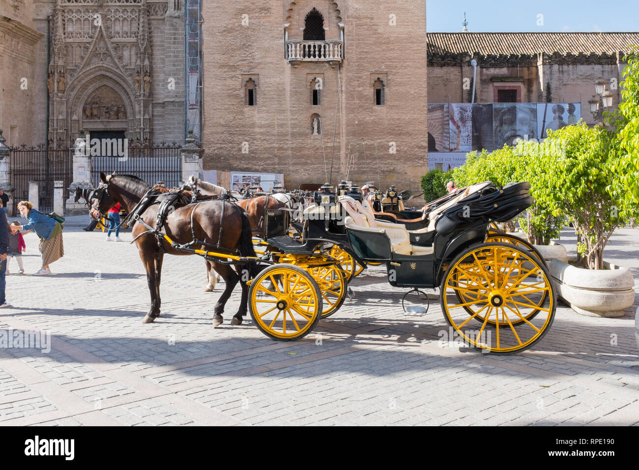 Pferdekutschen gezeichnet außerhalb der Kathedrale von Sevilla warten Touristen zu geben Touren durch Sevilla Stockfoto