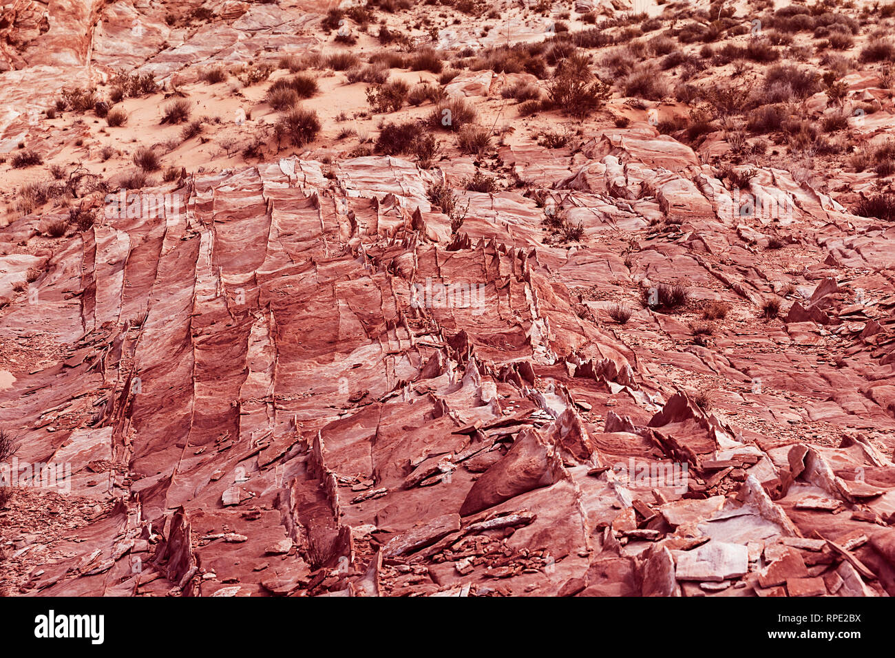 Hintergrund und Textur der Steinwüste in Coral Farbe, natürlichen Muster, Landschaft in Nevada - Bild Stockfoto