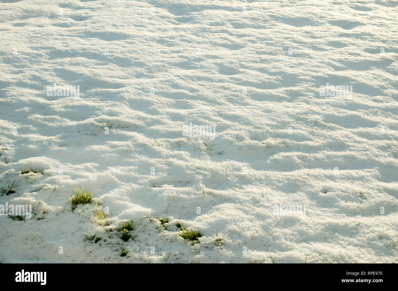 Hintergrund Muster von grübchen verschneiten Garten Rasen in der Morgensonne Licht in Großbritannien im Februar Stockfoto