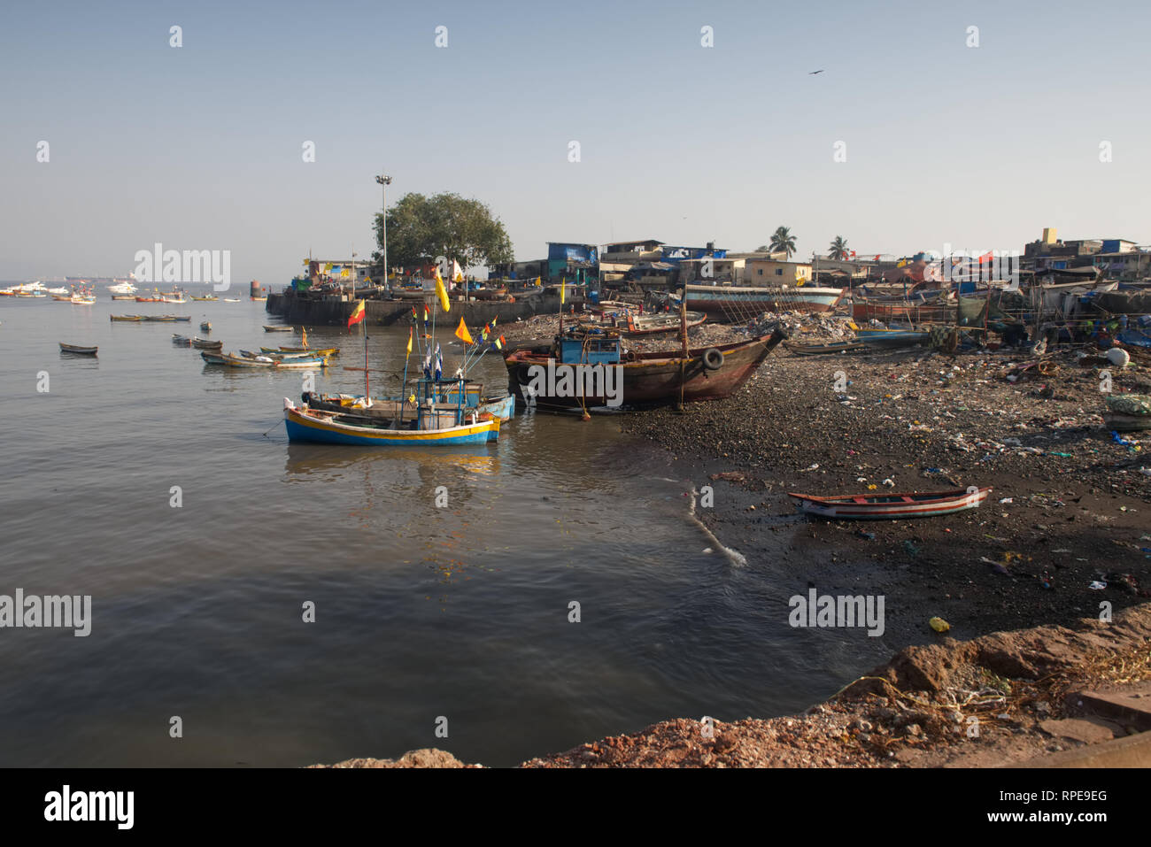Marine übersät angrenzenden Strand Mumbai Fischerdorf. Fischerfamilien Schuld Stadt Entwicklung, Verschmutzung und Überfischung für den Rückgang der Fischbestände. Stockfoto