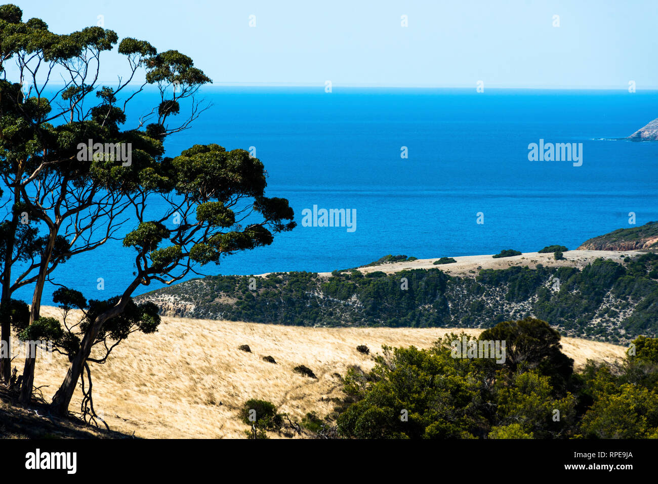 Küstenlandschaft auf Kangaroo Island, South Australia. Stockfoto