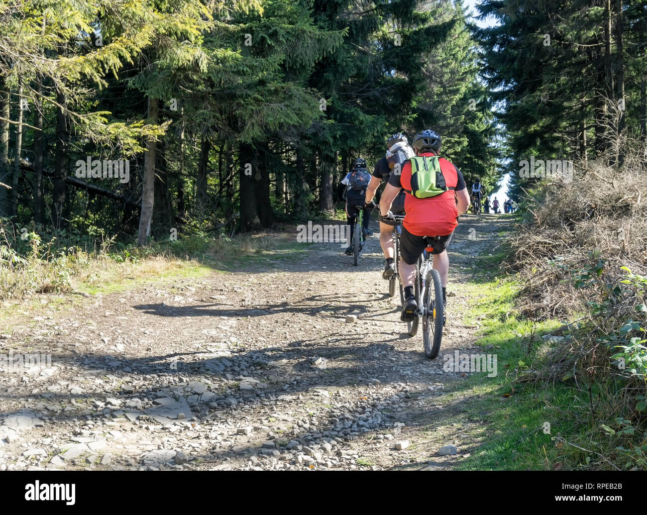 Gruppe von Radtouristen auf einer Schotterstraße in die Berge. Sonnige Herbst oder Sommer Tag. Stockfoto