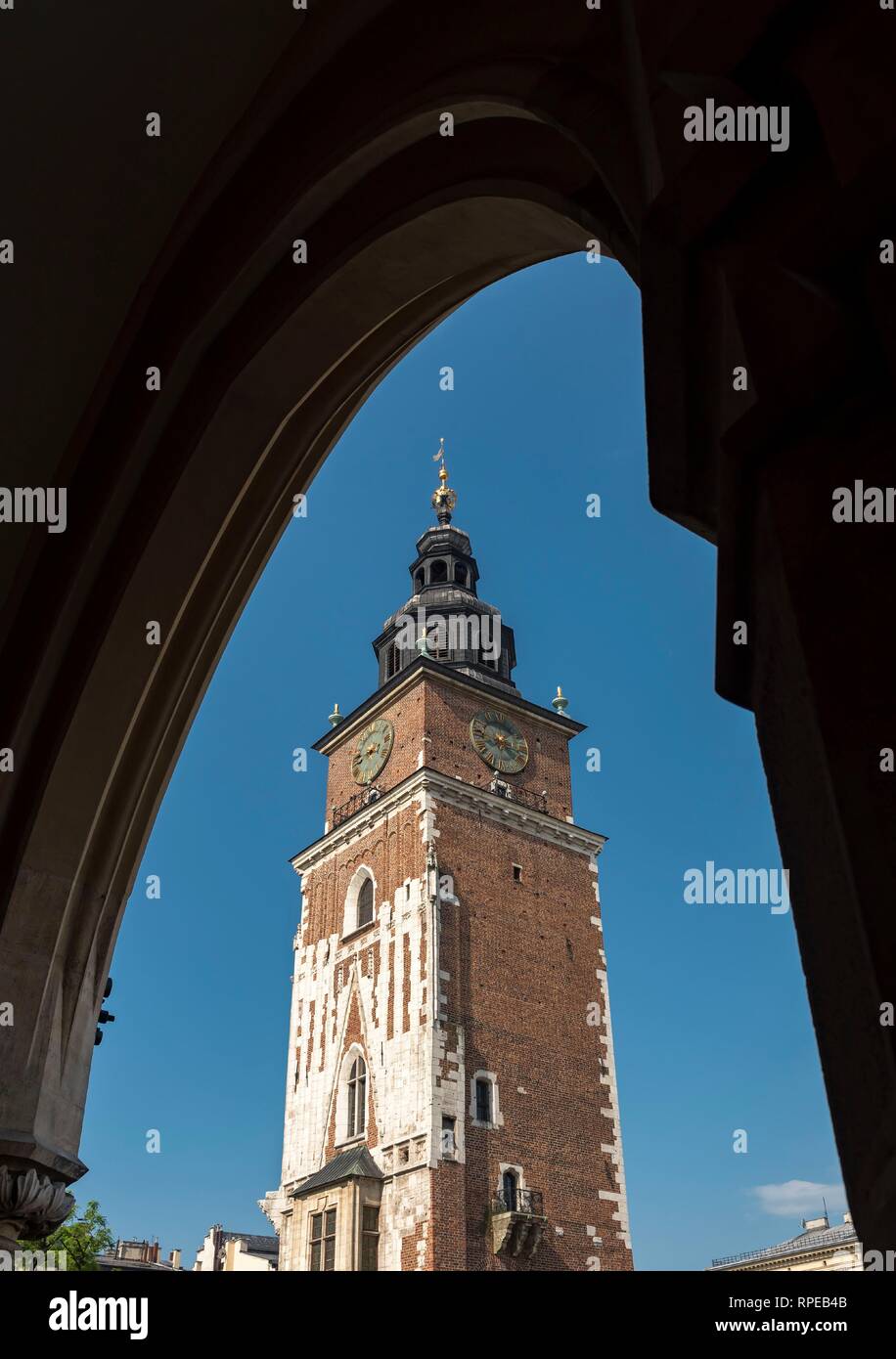 Rathaus turm durch Arcade der Tuchhallen gesehen, Marktplatz, Krakau, Polen Stockfoto