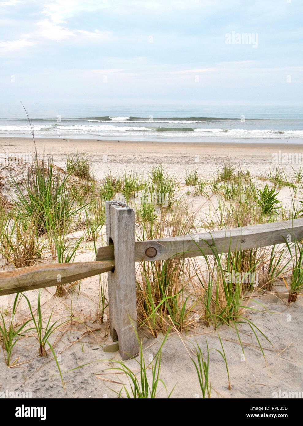 Sand Dune, Dune Grass, Ocean Surf, New Jersey Küste Stockfoto