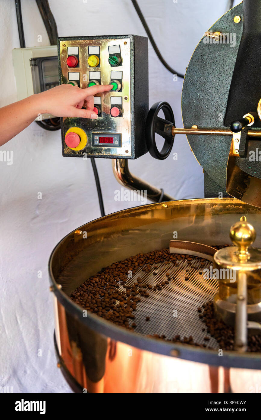 Weibliche Griffe Röster in organischen Kaffee Produktion Stockfoto