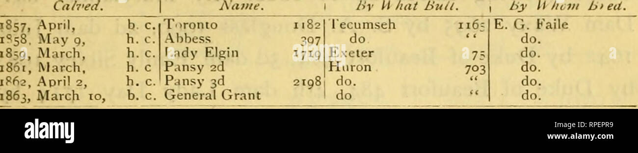 . Amerikanische Devon Rekord: Mit den Ahnentafeln der reinen Devon Rinder in den Vereinigten Staaten und Herrschaft in Kanada gezüchtet. Vieh, Devon Vieh. Amerikanische Kühe. 837 von Taurus 197, 5 Dam von Robert Patterson 1817 importiert. Produzieren. Cah' Hrsg. iiv Li hat. liy U/lotii b&gt; eU.. 2198 PANSY 3d. 654 - (2902), die schon gekalbt haben April 2 d, 1862. Durch E. G. Faile, West Farmen, Westchester Co., N.Y. gezüchtet; in H. M. Olmsted, Morris - Stadt, N. J. von Huron 703 verkauft. Dam Pansy 2197 von Wel-lington 1226, 2d-dam Amy 454 durch Baltimore 264, 3d-dam Rose von Baltimore 2454 von Eclipse 72, 4 Dam von anchises 7, 5 Dam von Taurus Stockfoto