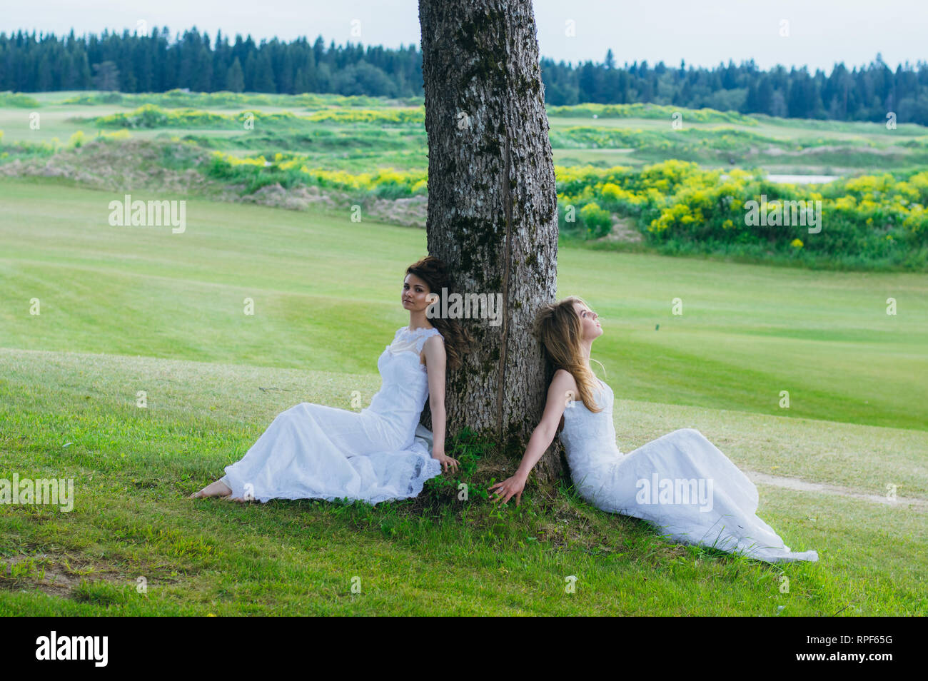 Zwei schöne Bräute sitzen in der Nähe der Baum auf das grüne Feld der Golf Club Stockfoto