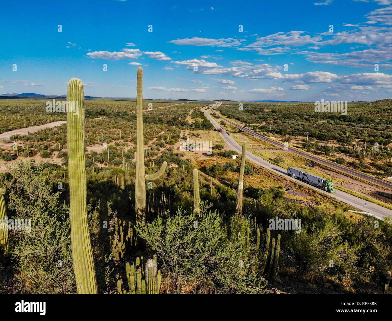Vista aerea del sahuaros, Kaktus en el Desierto Caborca hacia y Carretera de Puerto Peñasco, Sonora. Vias de comunicacion. Anhänger, Camion de Carga, Stockfoto