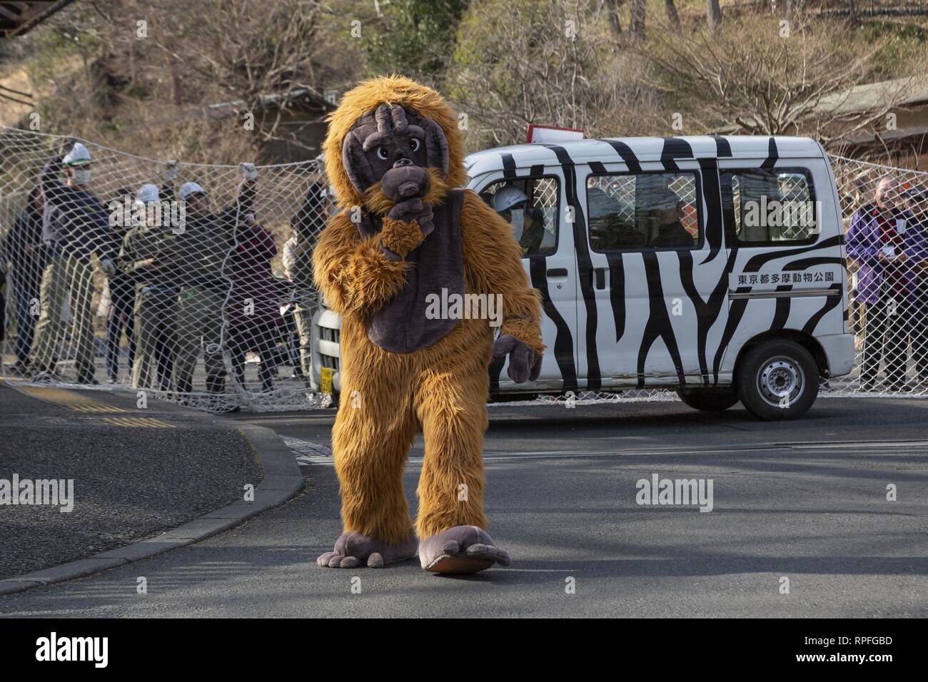 Tokio, Japan. 22 Feb, 2019. Ein tierpfleger tragen Orang-utan Kostüm  versucht zu entkommen, während Zoowärter ein Netz, in dem Versuch, ihn bei  einem Entflohenen Tier Bohrer an Tama Tierpark zu erfassen. Die