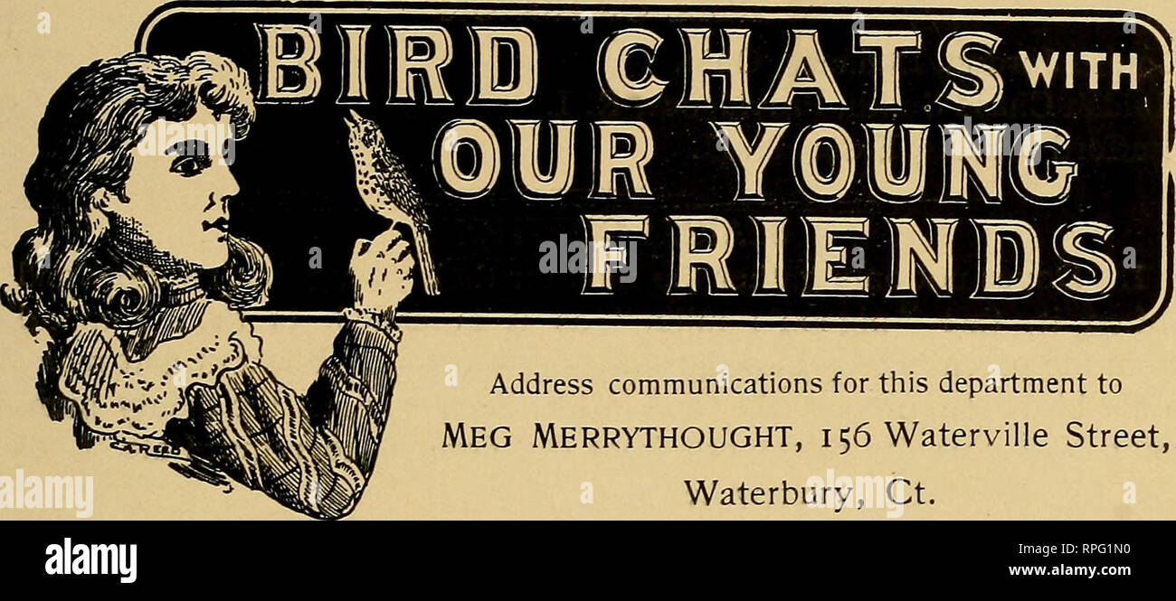 . American Bird Magazine, Ornithologie. Vögel. Amerikanische ORNITHOLOGIE 59. Adresse Kommunikation für diese Abteilung zu Meg Merrythought, 156 Waterville Straße, Waterbury, Ct. Liebe Jungen und Mädchen: Ich weiß, dass Sie in das Konto einer unserer Leser gibt, der seinen Erfolg in Freundschaften mit dem Winter Vögel interessiert sein werden. Da die Kälte und Schnee die Lieferung von Nahrungsmitteln in den Wäldern erschöpfen, das Vertrauen der Kleiber und Kohlmeisen scheint besonders in-zerknittert werden, und viele von uns haben so die Furchtlosigkeit, mit denen Sie hocken auf Kopf oder Schulter genossen, und Essen aus unserer Hand nehmen, das es scheint, Stockfoto