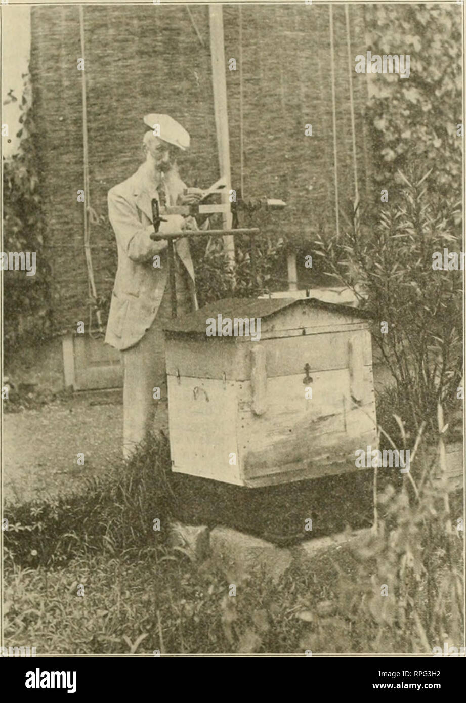 . American bee Journal. Biene Kultur; Bienen. Dezember, 1914. 411 Amarlcan liQe Journal. Täglich wiegen eine Kolonie AM MITTAG VOM GRAFEN VISCONTI gesprochen von Amerika, ihr schnelles Wachstum, ihre succ-ss und Ihre hoffnungsvolle Zukunft. Er sagte: "Ich habe alles amerikanische, Liebe außer der Männer, die ihre Füße auf dem Tisch oder Spucken auf den Boden legen." Pro-haps er Charles Dickens' amerikanischen Xotes gelesen hatte. Wenn Dickens wurden ins Leben zurück zu kommen und die Reise noch einmal machen, würde er sehen, eine große Verbesserung in Amerika auf diese Punktzahl. Aber wir haben immer noch Raum für Verbesserungen. Wenn wir Links unsere Freunde, die Eve-ning, mit der Erwartung o Stockfoto