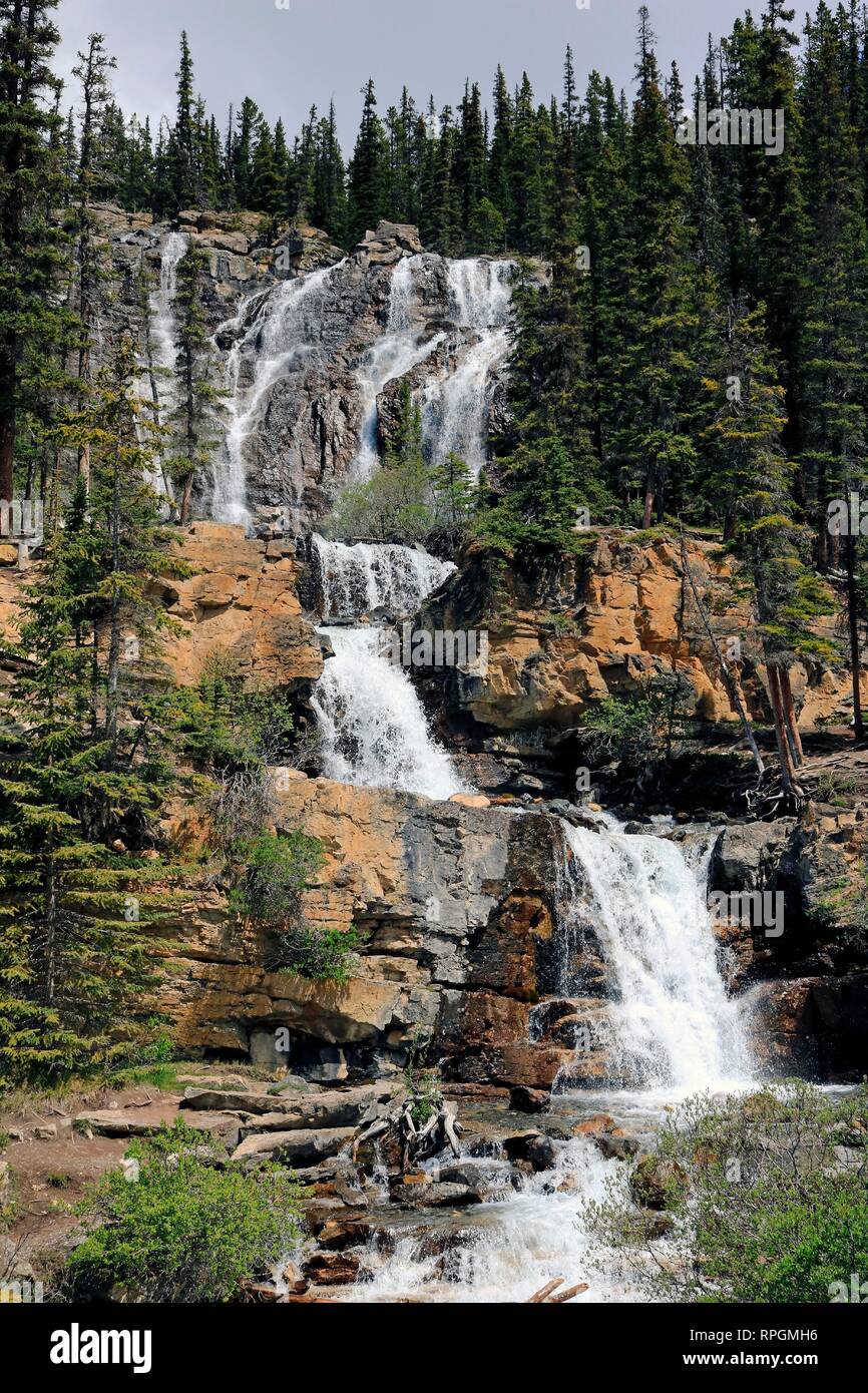 Tangle Creek Falls Jasper National Park Kanada Stockfoto