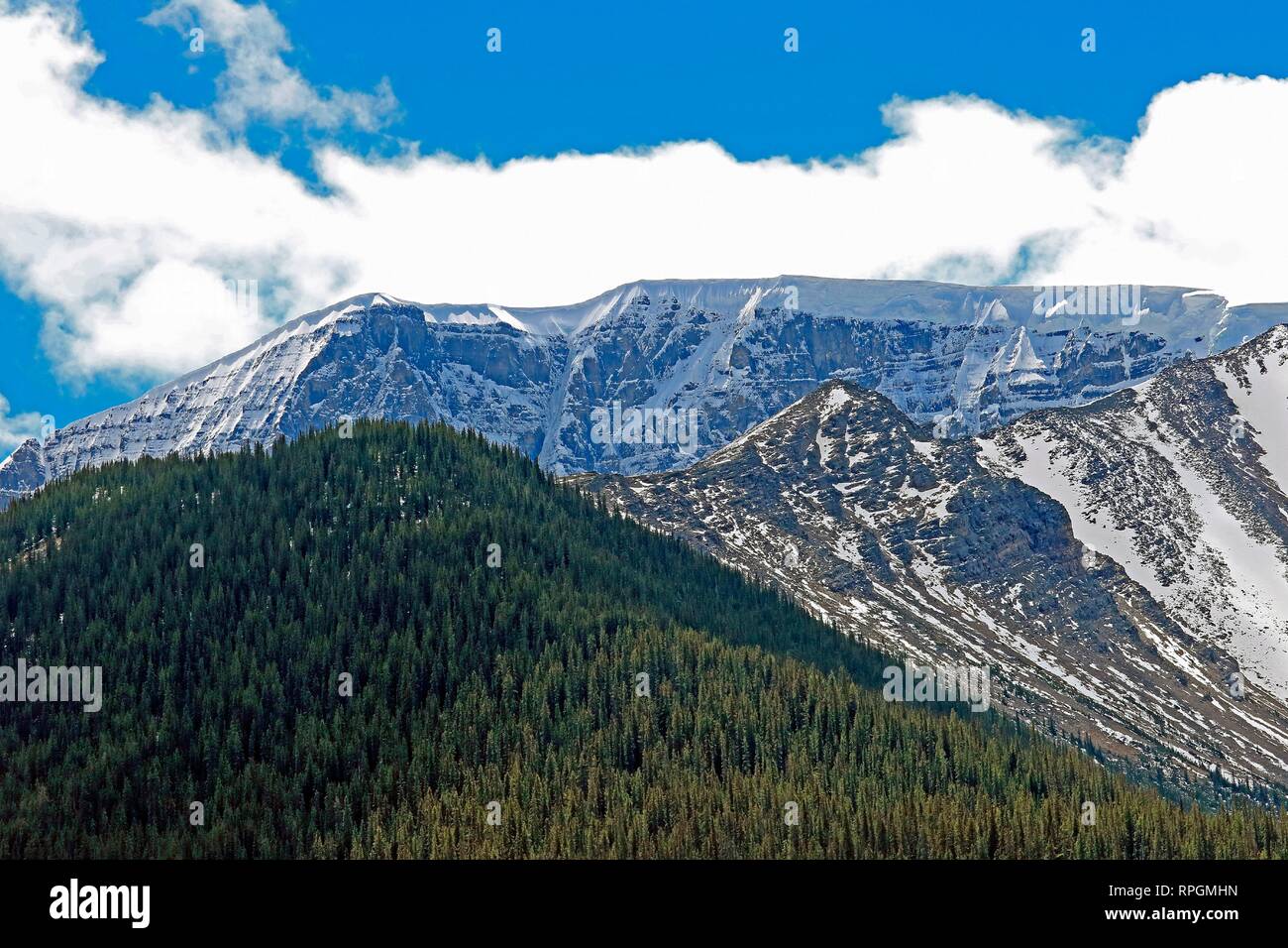 Columbia Icefields im Jasper Nationalpark Kanada Stockfoto