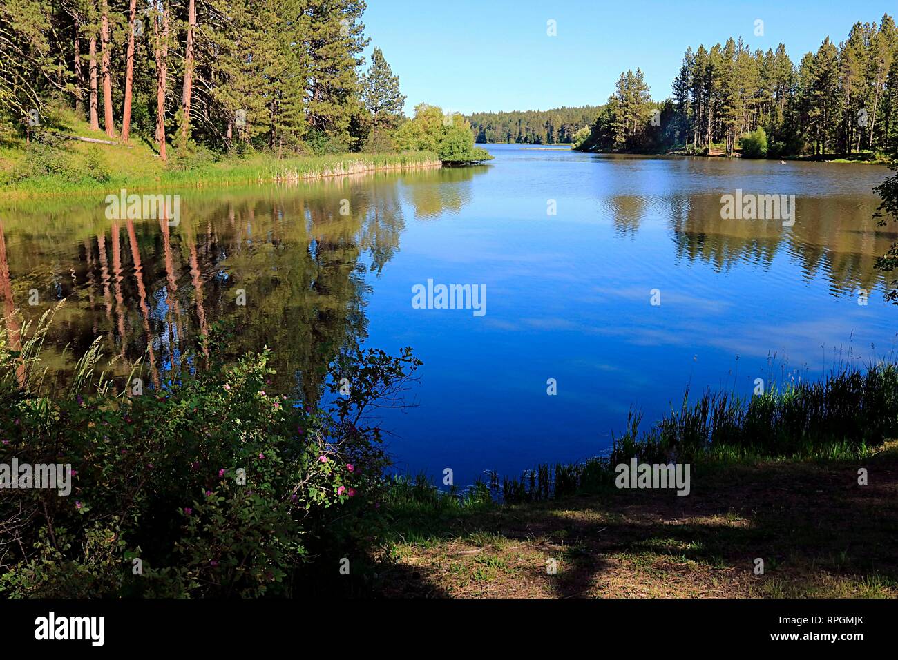 Szene Sommer an der Winchester Lake State Park Idaho Stockfoto