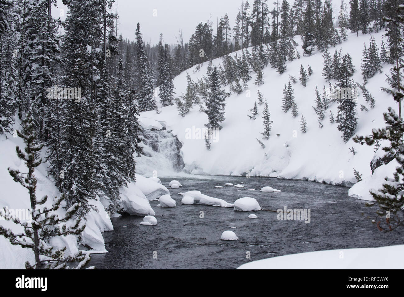 Old Faithful Geyser in Yellowstone National Park im Winter Stockfoto