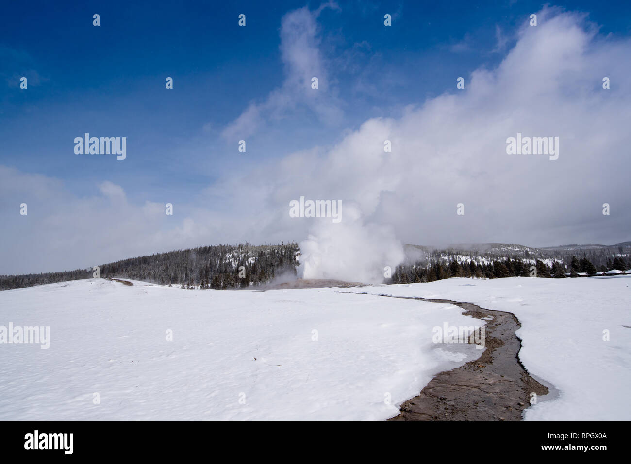 Old Faithful Geyser in Yellowstone National Park im Winter Stockfoto