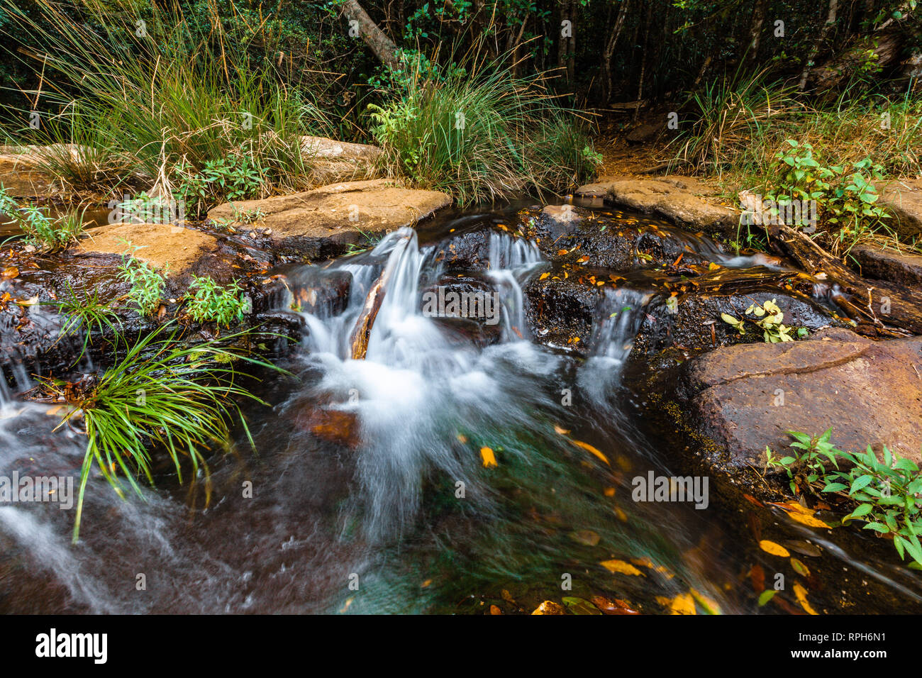 Kleiner Wasserfall in einem Regenwald Stockfoto