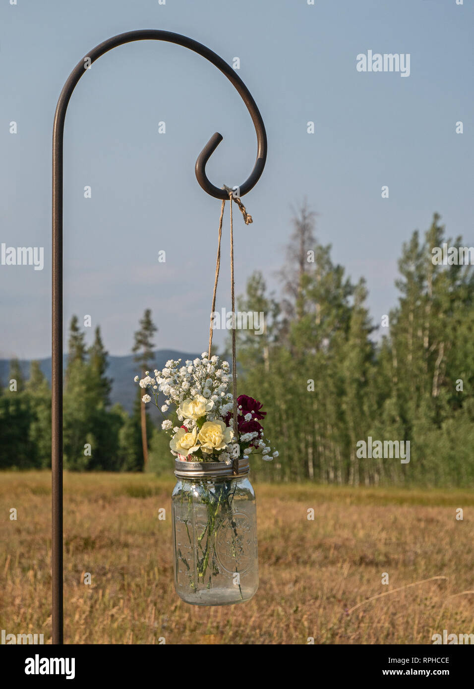 Mason jar von Gelb, Rot, und Weiß baby Atem Blumen in einer Bergwiese ausgesetzt die Gang bei einer Hochzeit zu markieren. Stockfoto