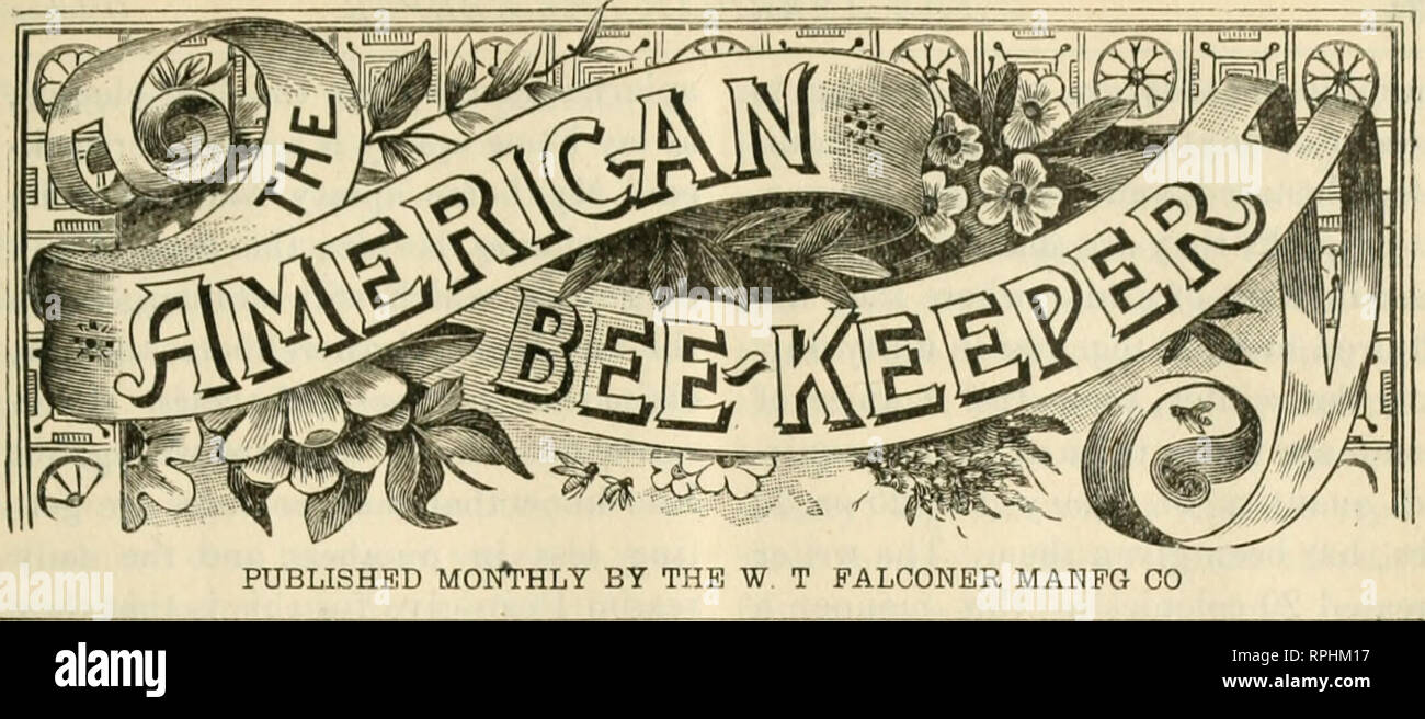 . Die amerikanische Imker. Biene Kultur; Honig. VOL. Vi. Oktober, 1896. . LO. Was mit schwachen Doppelpunkt - n spät in der Saison. Von REV. STEPHEN BOESE. Auf diese Frage Imker haben, Zeile um Zeile, Weisung um Weisung zumindest für das letzte Viertel eines Jahrhunderts hatte, und jeder weiß, dass roonth Septeniber ist die, in der alle Kolonien eine gründliche Prüfung unterzogen werden, und während die Bienen fliegen die schwachen Kolonien sollten vereint werden, die ärmsten Queens entfernt und die beste Queens in die Vereinigten Kolonien zurückgegeben. Aber wenn aus irgendeinem Grund die apiarist diese Pflicht vernachlässigt hat oder b Stockfoto