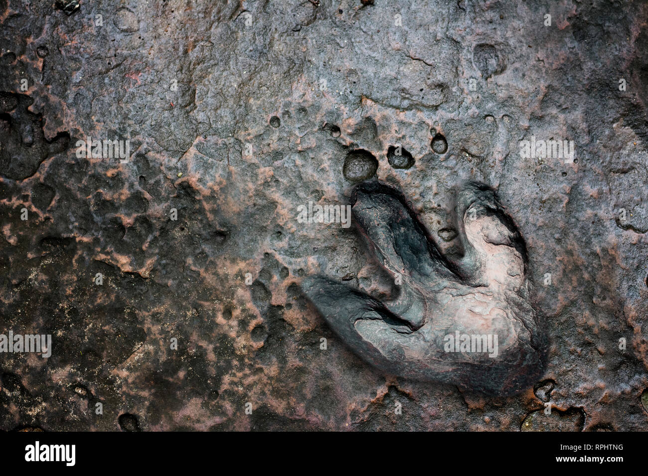 Echten dinosaur Footprint, Thailand. Stockfoto Echten dinosaur Footprint, Thailand. Stockfoto