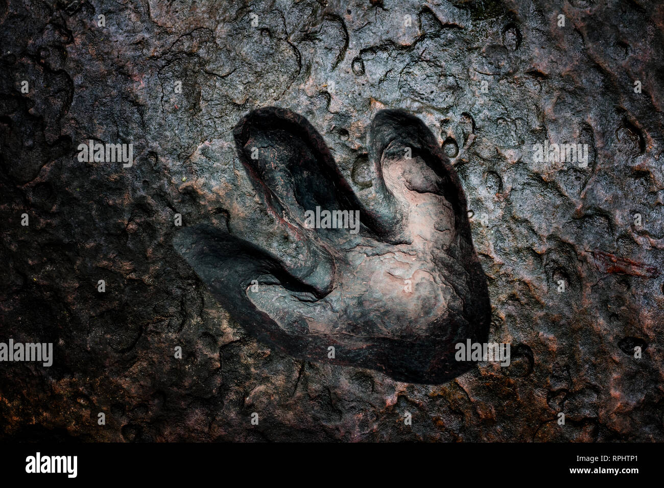 Echten dinosaur Footprint, Thailand. Stockfoto