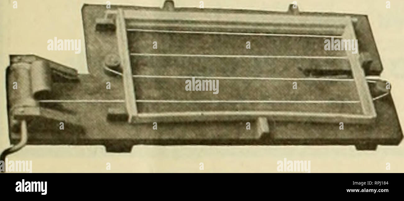 . American bee Journal. Biene Kultur; Bienen. 1917 AMERICAN BEE JOURNAL 183 Geflügel Geflügel Verbrauchsmaterial Verbrauchsmaterial aller Art, am besten automatische Korn Feeder, Brunnen, Tröge, chemische mash Trichter, Knochen Mühlen, Ausstellung und Versand coops, bein Bands, Shell, Grit, Knochen, Fleisch, Lebensmittel, und Rechtsmittel, die ALLES, WAS SIE WOLLEN. Auch Taube, Zwinger und Biene liefert. Runde frei. Eureka Supply House Box B-403, - Aurora, Illinois. Die patentierte WRIGHT FRAME-VERKABELUNG GERÄT Die meisten Rapid im Einsatz. Spart Kosten der Maschine an einem Tag. Tii^ Hütter Kabel, keine l&lt; inlts. nosore Hände. Preis. $ 2.50. U S A. G. W. Wright C Postpaid Stockfoto
