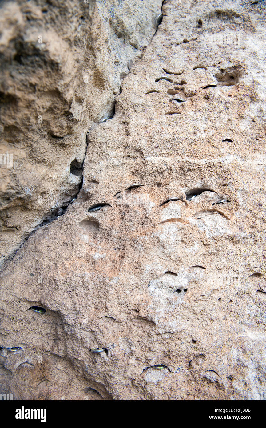 Münzen eingefügt in die Felswand am Orhei Vechi Höhle Kloster in Orhei, Moldau. Die Münzen ersetzen Tanks, die aus dem Kalkstein stark gesunken sind. Stockfoto