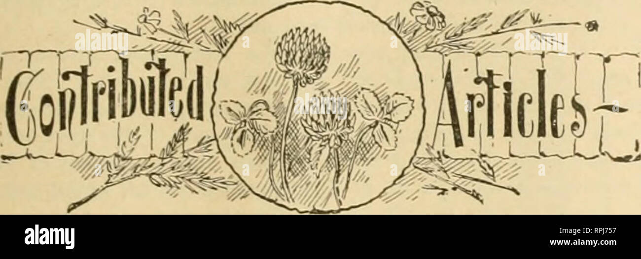 . American bee Journal. Biene Kultur; Bienen. Ich "uhlisht Weelily bei JIS A/ie/i/^ rtii Straße. $ 1 J) 0 ein Jahr - SamjiiG Kopieren ^ P'rGe, 37. Jahr. CHICAGO, Ill., 21. Oktober 1897. Nr. 42.. Ist es das Wert, während ein Tarif oder Abgabe auf Hooey zu haben? Von CHA 8. F. MUTH. Fragen. - "Ich habe bemerkt, dass der neue Tarif Gesetz verdoppelt sich die Alten Zoll von 10 Cents pro Gallone auf extrahierten Honigs. Nicht genug Kubanischen Honig in unsere Märkte kommen, lohnt es sich zu bilden, während uns die Pflicht zu haben? Ich schlage vor, dass C. F. Mulh einige Informationen dazu geben könnte. Vielleicht Weyler, der Spanischen Metzger ist ganz und stopt Honig - Produktion in Stockfoto