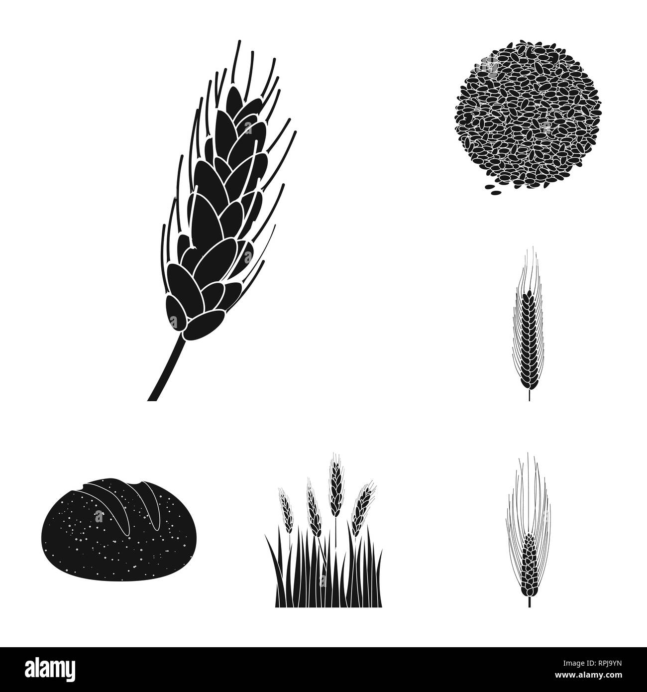 Feder, Brot, Gerste, Spike, Samen, Winter, Durum, Getreide, Mehl, Nahrung, Land, Saatgut, Getreide, Frühstück, Maisfeld, Ohr, bun, Kleie, gesund, auf dem Land, golden, Stroh, Laib, Herbst, Reif, ländlichen, Wiese, Snack, Roggen, Weizen, Mais, Getreide, Ernte, Betrieb, Feld, Landwirtschaft, Landwirtschaft, Set, Vector, Icon, Illustration, isoliert, Sammlung, Design, Element, Grafik, Zeichen, Schwarz, einfachen Vektor Vektoren, Stock Vektor