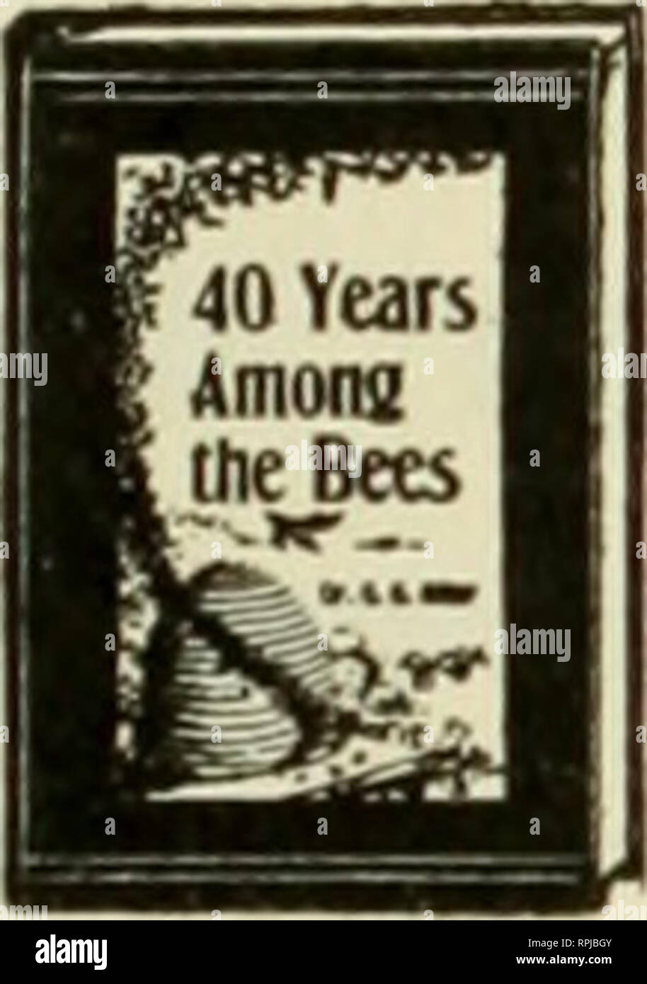 . American bee Journal. Biene Kultur; Bienen. Wir werden Ihnen das Buch kostenlos als Premium.) Jeder Imker, hätte sie beide das Buch und die Bee Journal, wenn nicht bereits Besitzer von Ihnen. Wie Dr. Miller eine Lizenzgebühr für sein Buch - erhält so viele Cent auf jeder Kopie verkauft - Jeder Imker, wer kauft Es ist so ein wenig ihm für seine Bemühungen anderer zum Erfolg durch seine Schriften auf Biene führen - Kultur zurückzuerstatten. Da wir einen guten Vorrat an diese Bücher zur Hand haben, können wir alle Bestellungen per e-mail. Dies ist die Zeit des Jahres, auf Biene zu lesen. Besser senden Sie uns Ihre Bestellung auf einmal für Dr. Miller's b Stockfoto