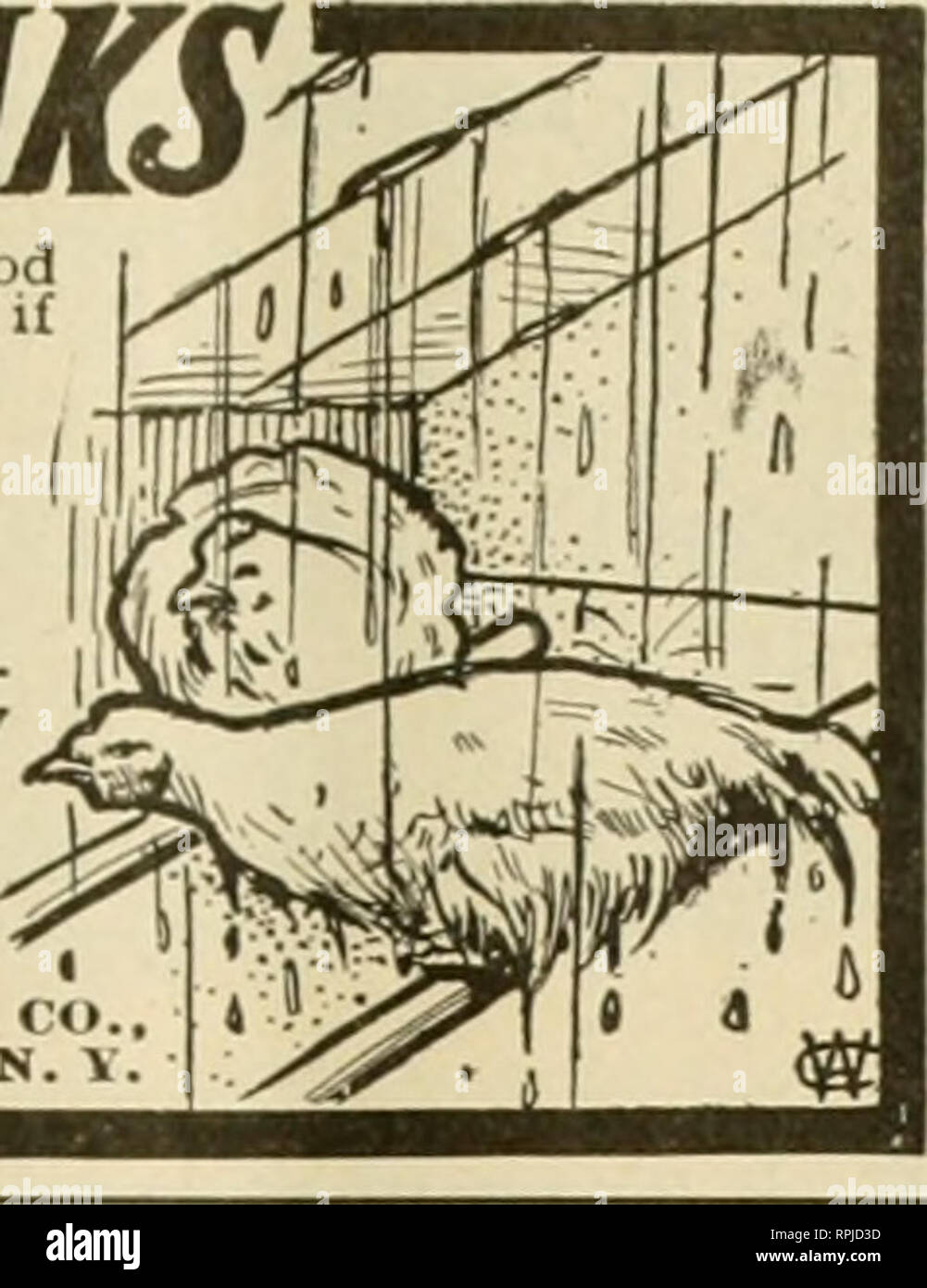 . American bee Journal. Biene Kultur; Bienen. April, 1008. 1^American^ eg LOOKOUTFORLEm ein undichtes Dach auf Ihrem hen-house kostet Sie eine eood Viele ciollars in Verlust. Sie benötigen keine Gewinne erwarten, wenn die watei - tropft oder gießt alle über ihr Geflügel jedes Mal, wenn es regnet oder schneit. "Stern" fühlte und Dichtungsbahnen macht eine Wasser-dicht, "jnst Rechts" Dach für die Henne - huuse. Halten Sie ihre Geflügel trocken und warm, so dass Sie arbeiten können und Sie sparen alle den Verlust der Undichtigkeiten verursachen. Es ist billiger, sieht besser aus und ist besser als Schindeln ur Metall, und länger dauert; in 1-, 2- und 3-lagig gemacht, vor allem für die Geflügel h Stockfoto