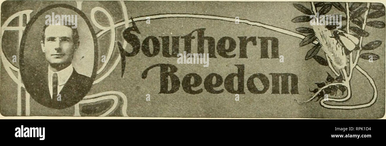 . American bee Journal. Biene Kultur; Bienen. Amerikanische liae^ oarnalj März 21, 1907. Von Louis H. Scholl, Neue Brauosfels, Tex Texas BlooraGaloreand Schwarm-ing" im März, während die Bienen noch im Keller "up North", ihre südlichen "Cousins" haben eine große Vielfalt von Bloom sie beschäftigt zu halten werden durchgeführt. Es gibt mehr als 3 Dutzend bloomers Für unsere Bienen während dieser Monat März, der vehich ich habe speci - mens in Meine Sammlungen, und es gibt ein paar, die hinzugefügt wurden, die in anderen Teilen des Staates auftreten. Einige dieser Pflanzen sind nicht von großer Bedeutung ist, doch jedes Bisschen hilft Stockfoto