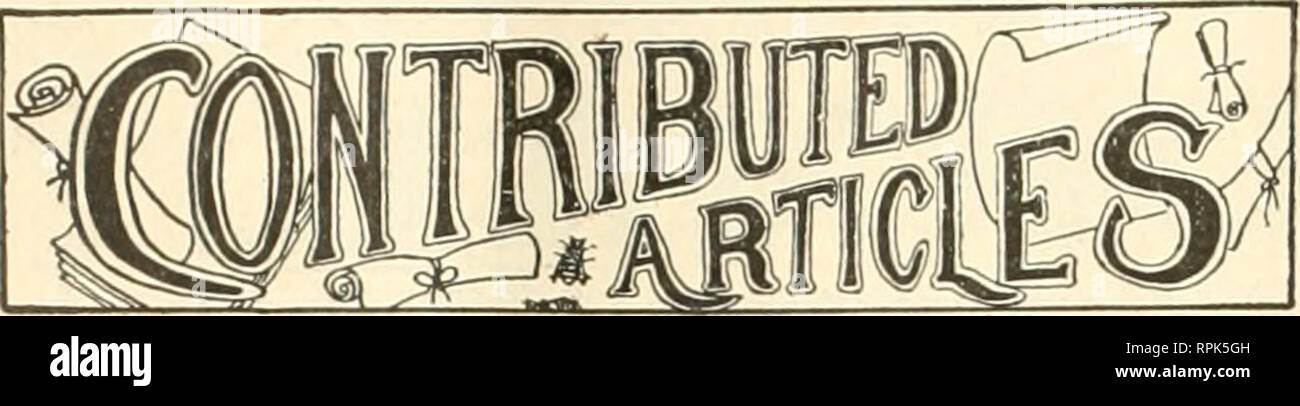 . American bee Journal. Biene Kultur; Bienen. 482 AMERICAN BEE JOURNAL Aug 3, 1899. Wenn wir rufen in andere Mitglieder der Familie zu Sek- kratzen, Nagel, Einbauten und den Honig auf den Markt zu bringen. Ich bin noch in der Liebe mit dem Geschäft, und ich würde es wärmstens allen empfehlen, jede Frau, die liegt, so dass Sie können engag-e in es, vorausgesetzt Sie hat viel Geduld, Entschlossenheit und Energie. Frau A. J. Friseur.. Extrahieren" und Reifung Uncapt Honig. Ich VON C. S. DAUANT, erhielt folgende Anfrage für Informationen, die ich in der American Bee Journal beantworten wird: Herr Dadant-Maße: - Ich bin auf der Suche nach Informationen. Wi Stockfoto
