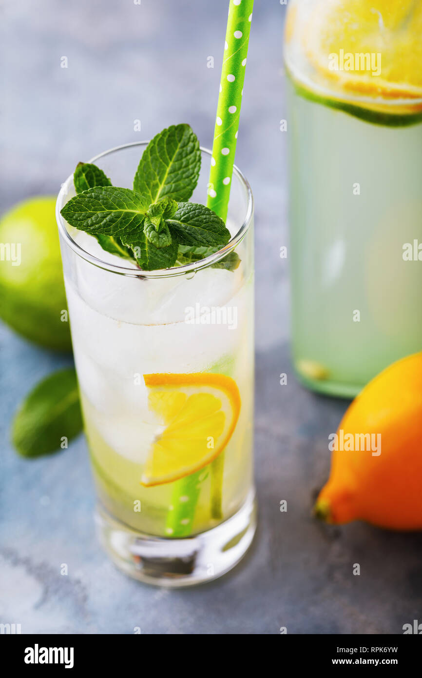 Tonic mit Zitrone, Limette und Pfefferminze in einem durchsichtigen Glas auf dem Tisch, Nahaufnahme Stockfoto