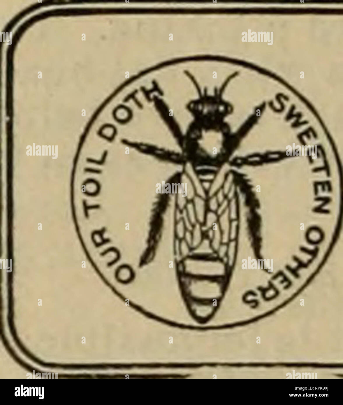 . American bee Journal. Biene Kultur; Bienen. 844 DER AMERICAN BEE JOURNAL Dez. 7. 190S sehr wenig, wenn in den Bienenstöcken. Dieser Knick lohnt sich ein Versuch, sowieso. Preise der Bee-Supplies. [Zl Viel wurde in letzter Zeit gesagt wurde über die Preise für Lieferungen zu hoch. Das kann sein. Aber solange die Nachfrage praktisch das Angebot übersteigt, die Preise werden steif sein. Wenn der Honig - Händler waren kurz, und nach uns Honig - ich meine, meine, wie die Preise nach oben gehen! Gut, wenn der Preis der Bienenstöcke zu hoch ist, machen Sie Ihr "Selbst - das ist alles. Hier müssen wir klären, ein Stockfoto