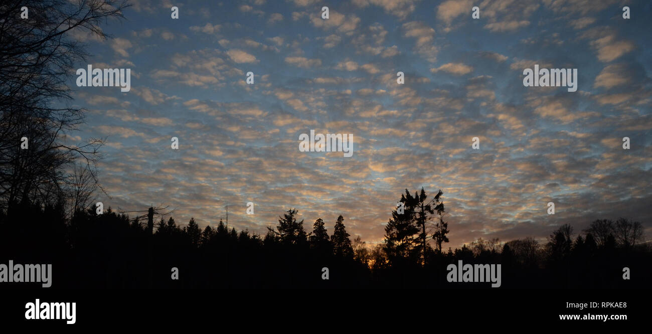 Silhouette der Waldlandschaft mit altocumului durch den letzten Strahlen der Sonne leuchtet nicht mehr sichtbar.. Stockfoto