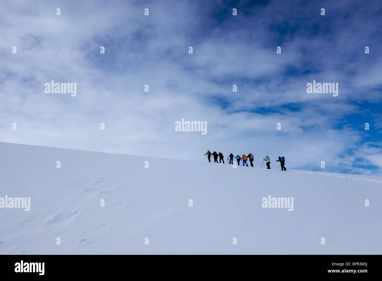 Szene von Eisbergen, Pinguinen, Robben, Schnee und Eis in der Antarktis, dem südlichsten Kontinent der Welt Stockfoto