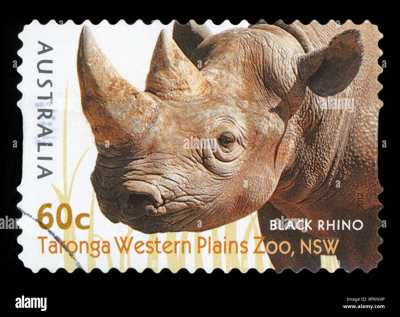 Australien - ca. 2012: einen Stempel in Australien gedruckten zeigt die Black Rhino von taronga Western Plains Zoo, NSW, Serie, ca. 2012. Stockfoto