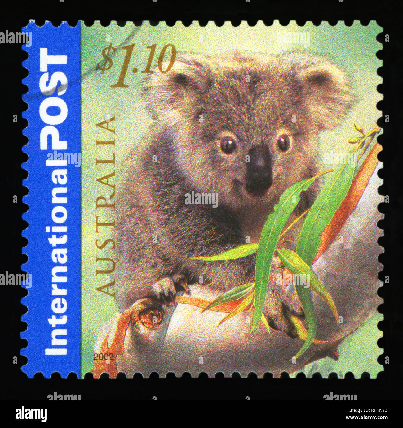 Australien - ca. 2002: einen Stempel in Australien gedruckten zeigt die Koala, Internationale nach Serie, ca. 2002. Stockfoto